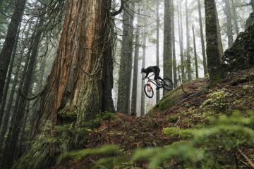 Steve Vanderhoek rodando en North Shore // Risk Is Reward