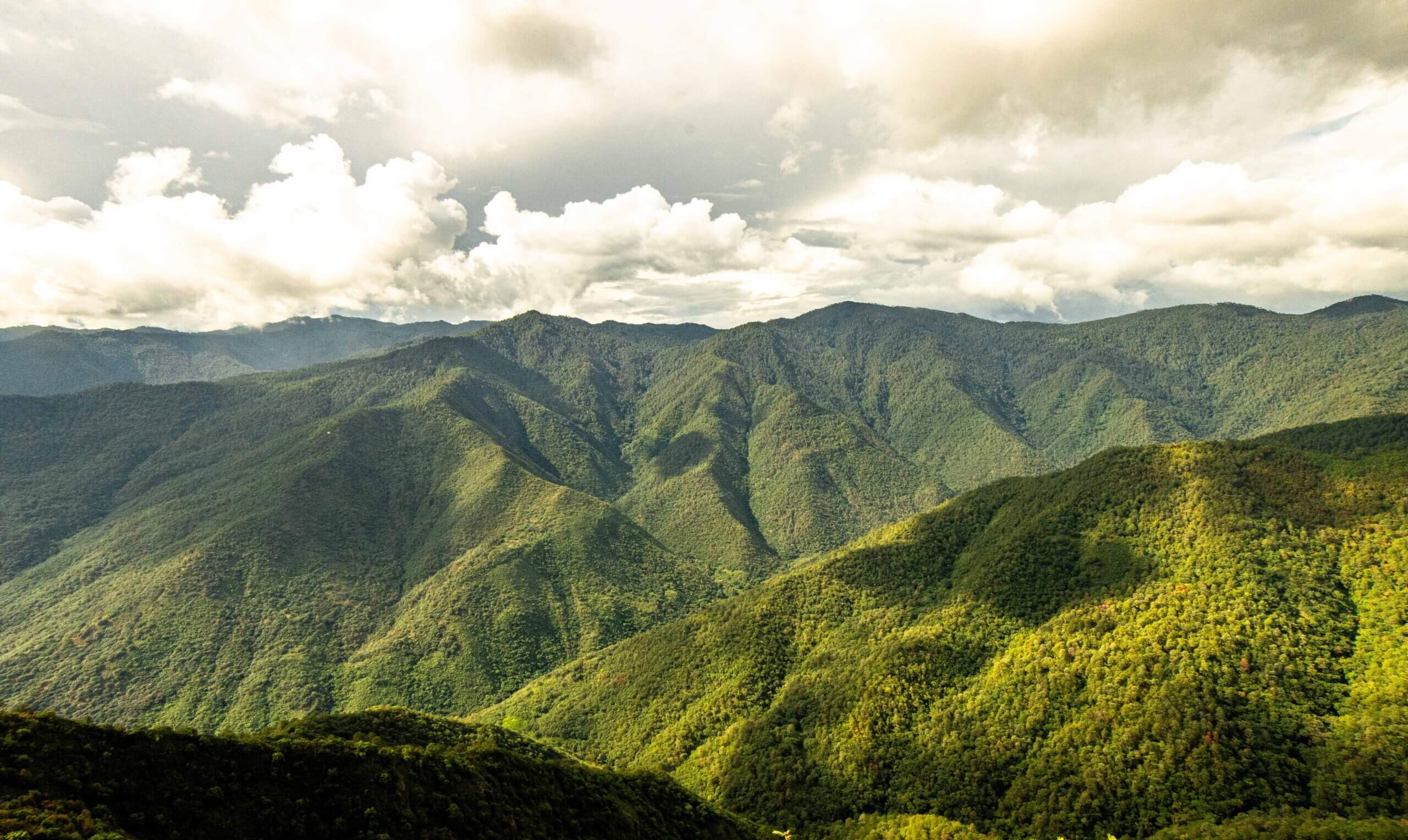 DOWN-VERESTING OAXACA